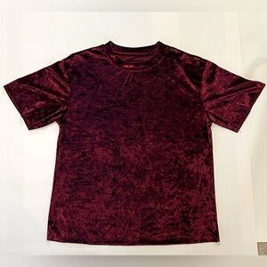 Velvet Short Sleeve Top in Burgundy S/M